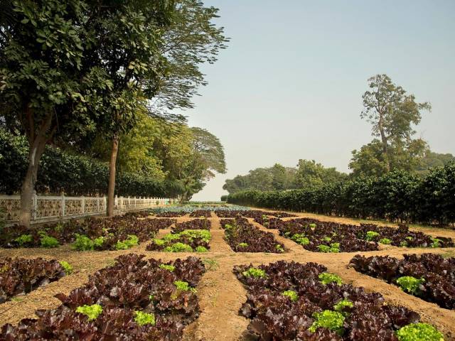 Jardin Organico